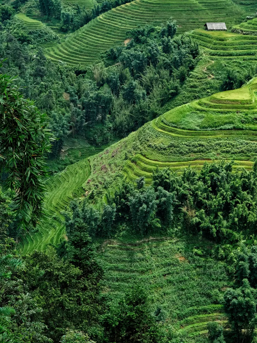 Tour Sa Pa Fansipan