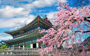 Tour Hàn Quốc